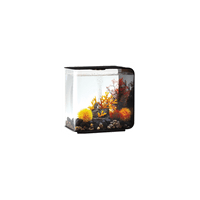 Thumbnail for BiOrb FLOW 15 MCR Aquarium Blue Thumb 