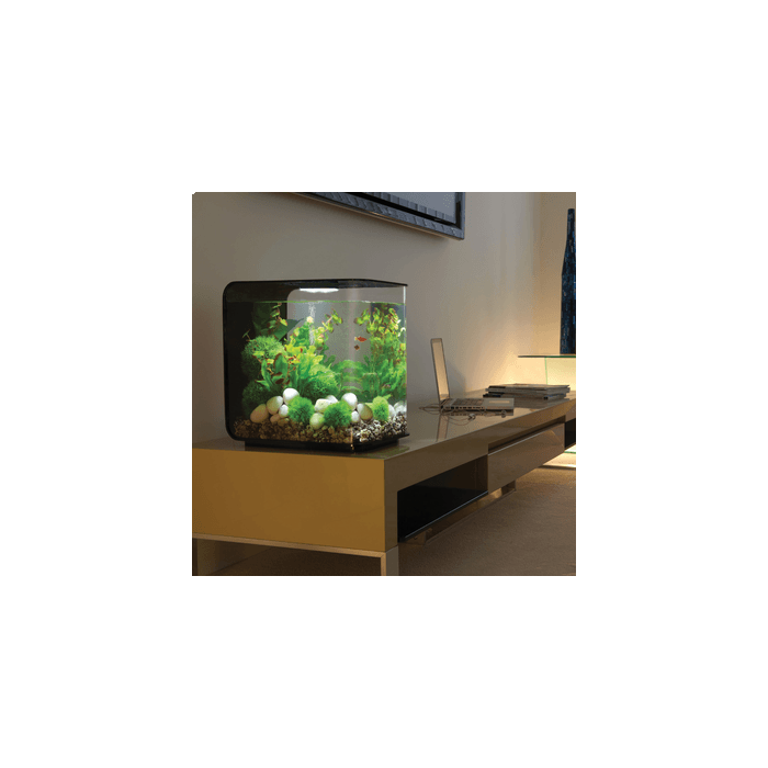 BiOrb FLOW 30 MCR Aquarium Blue Thumb 
