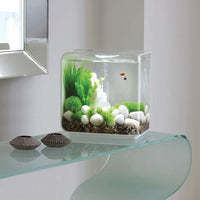 Thumbnail for BiOrb FLOW 15 MCR Aquarium Blue Thumb 