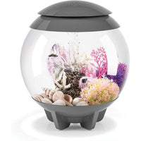 Thumbnail for BiOrb Halo 15 MCR Aquarium Blue Thumb 