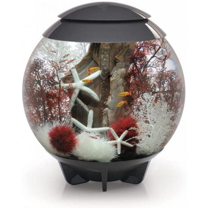 BiOrb HALO 60 MCR Aquarium Blue Thumb 