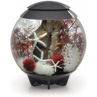 Thumbnail for BiOrb HALO 60 MCR Aquarium Blue Thumb 