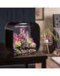 BiOrb LIFE 30 MCR Aquarium Blue Thumb 