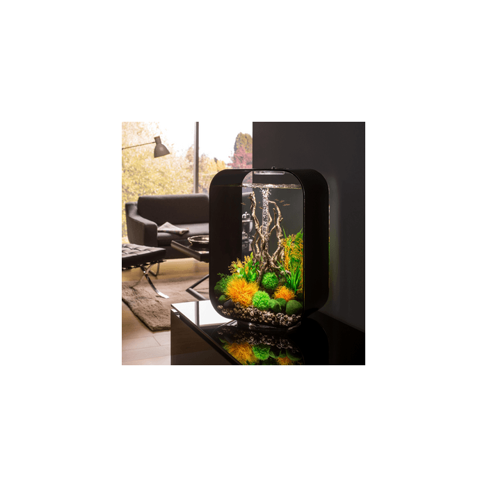 BiOrb LIFE 45 MCR Aquarium Blue Thumb 
