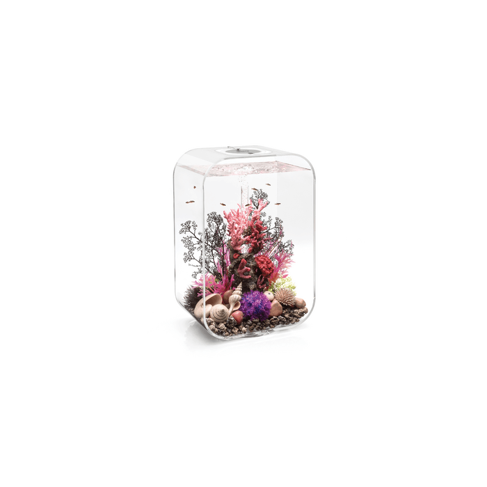 BiOrb LIFE 45 MCR Aquarium Blue Thumb 