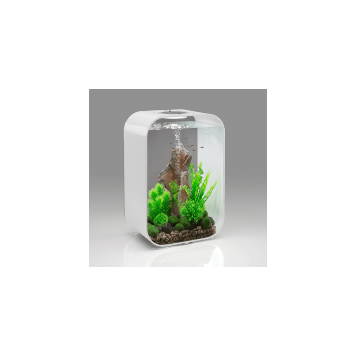BiOrb LIFE 45 MCR Aquarium Blue Thumb 